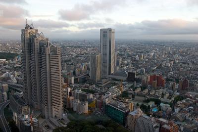 Shinjuku view from Govt. Building