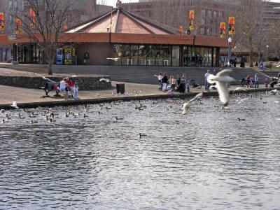 Spokane16.jpg