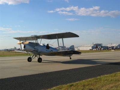 Tiger Moth