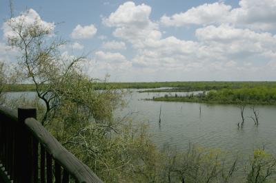 mopani2.jpg