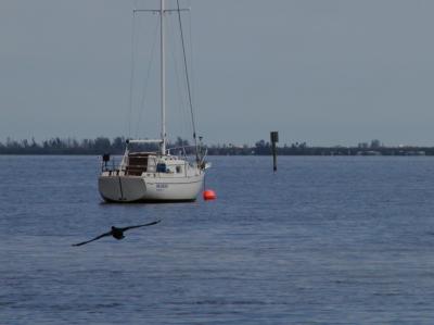 JPG  CS Sailboat Anchored P3242192.jpg