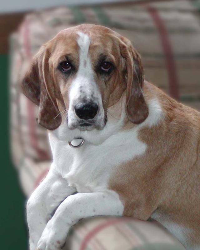 Murfie Portrait