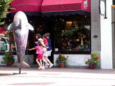 DSCN3038.JPG