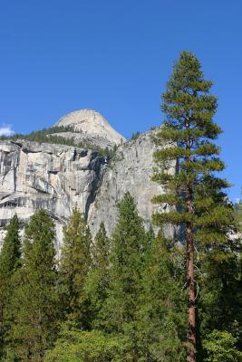 IMG_0220.jpg