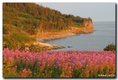 Forillon au coucher de soleil