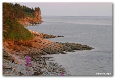 Forillon au coucher de soleil