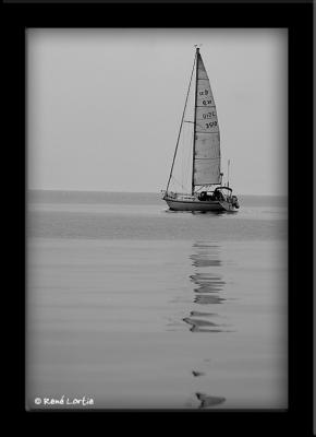 Voile sur la Baie de Gaspé