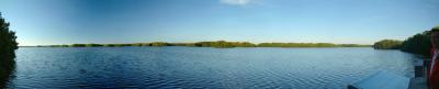 u34/rmaruzzi/medium/41372338.DingDarlingRefuge1112302.jpg