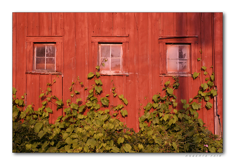 Cortland, NY