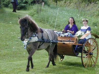 Arrival of the bride