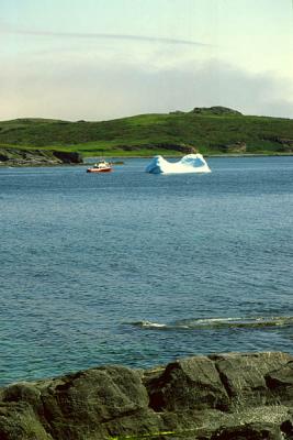 Iceberg. L'Anse-aux-Meadows