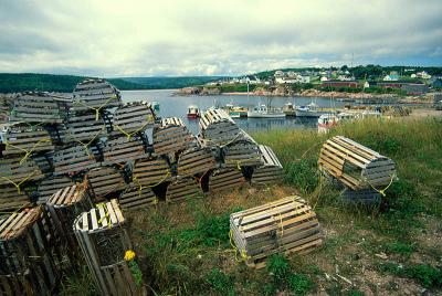 Neils Harbor