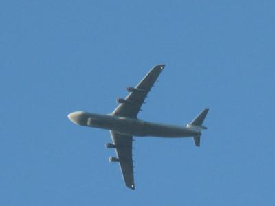 IMG_0515.JPG