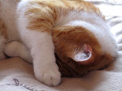 Sleeping
