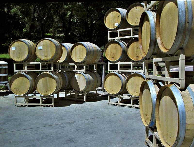 Barrels at Linne Calodo Winery