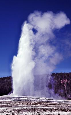 Old Faithful