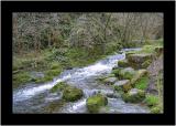 Derbyshire Stream