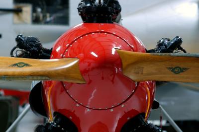 u34/rospotte/medium/31057601.DSC_0581.jpg