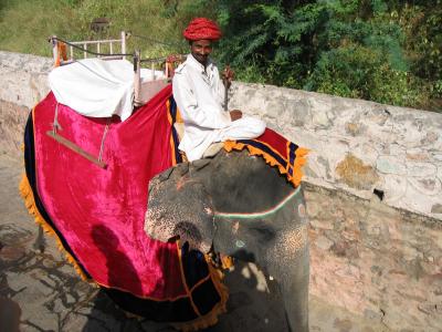 u34/royfung/medium/34777275.India04AutumnIMG_1758.jpg