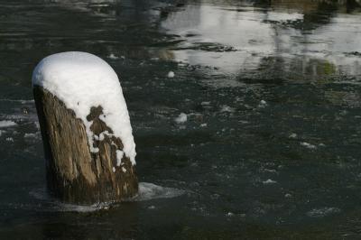 IMG_2766plfoto.jpg