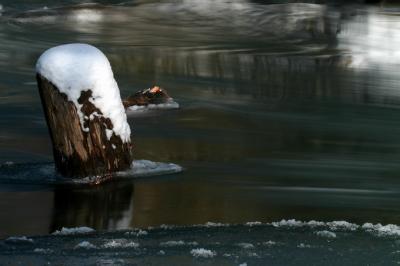 IMG_2814plfoto.jpg