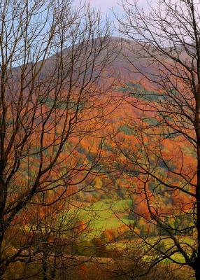 Bieszczady- autumn '03