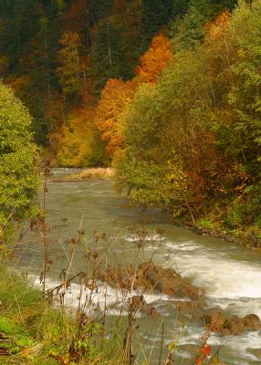 IMG_2325plfoto.jpg