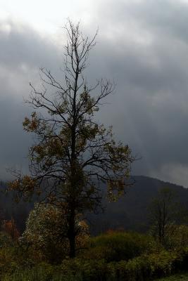 IMG_2433wcwi.jpg