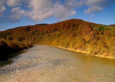 IMG_2495plfoto.jpg