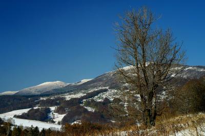 IMG_3042plfoto.jpg
