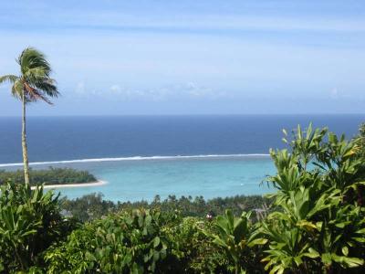 View_3.jpg