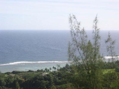 View_4.jpg
