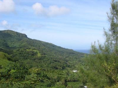 View_5.jpg