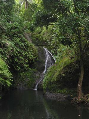 WaterFalls.jpg