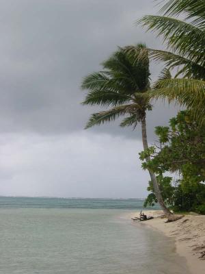 View_5.jpg