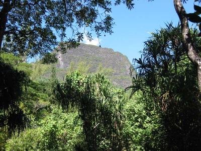 View_2.jpg