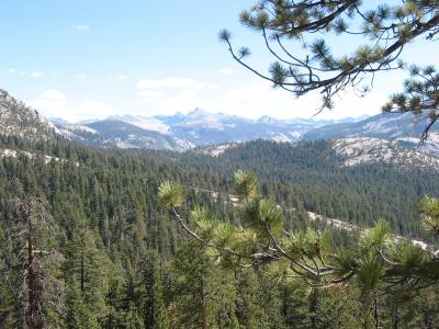 116-1653_IMG.jpg