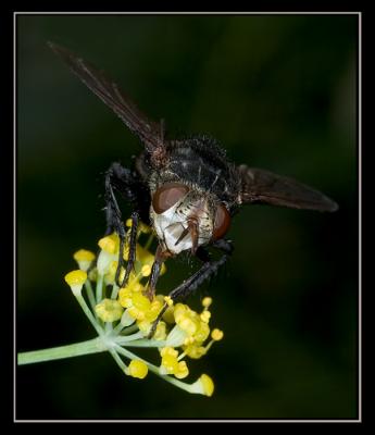 aCRW_7834.jpg