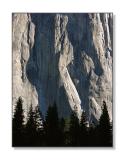 <b>The Face of El Capitan</b><br><font size=2>Yosemite Natl Park, CA