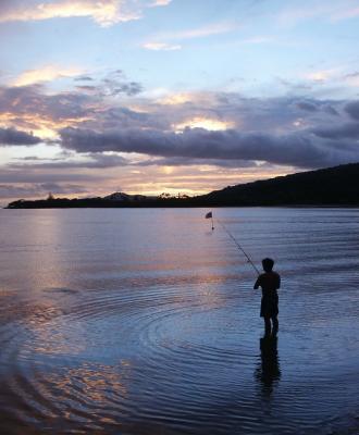 Fishing at sunset