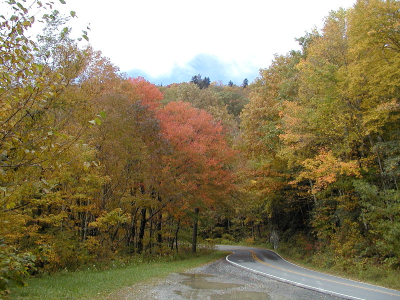 The Road
