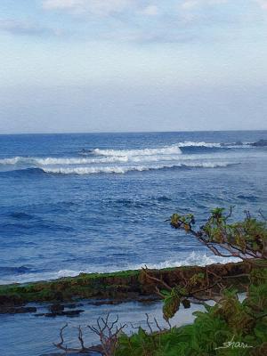 surf's up in maui