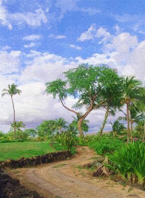 maui path