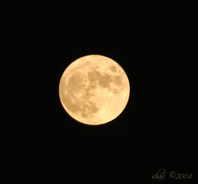 u34/shariwb/medium/33180578.fullmoonsig.jpg