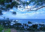 beach in hana