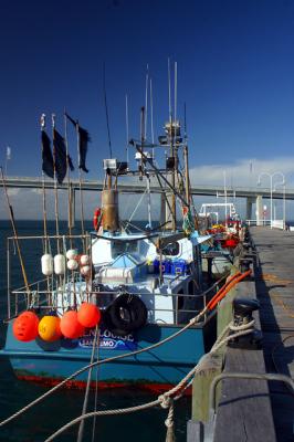 San Remo boat