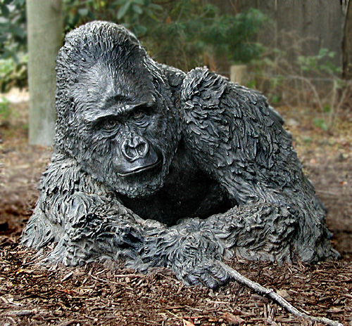 Gorilla