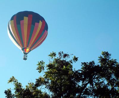 backyard-balloon.jpg