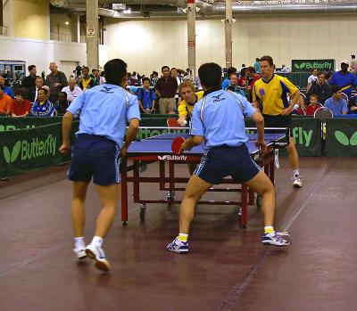 Waldner Persson Doubles