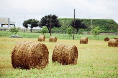 Haystack
